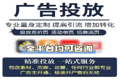 如何在sem竞价托管中取得卓越效果——案例解读